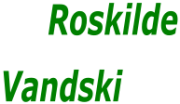 Roskilde vandski